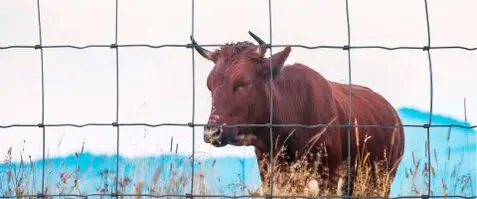 Vallados de fincas y parcelas, Cerramientos metalicos y cercados Vallados de fincas y parcelas, Cerramientos metalicos y cercados